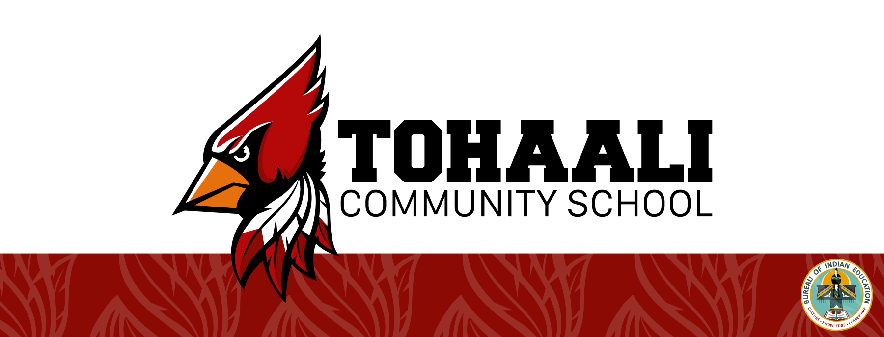 Tohaali Community School