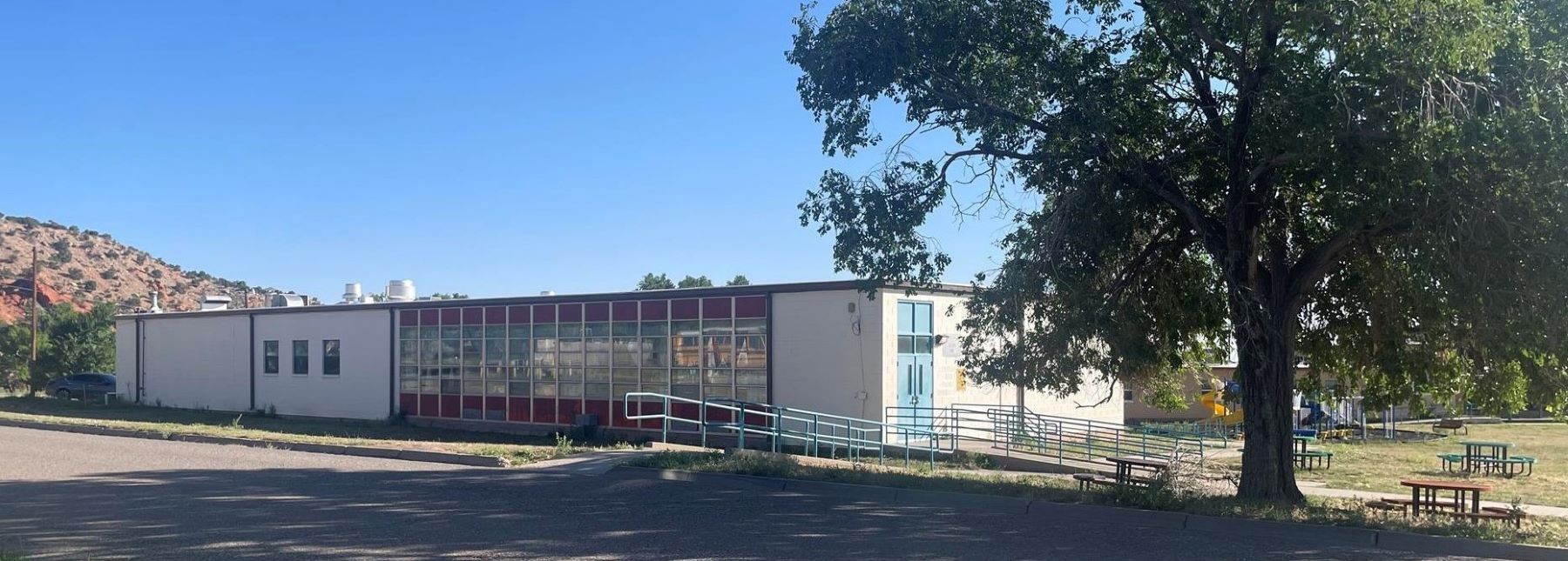 large tree outside school providing lots of shade