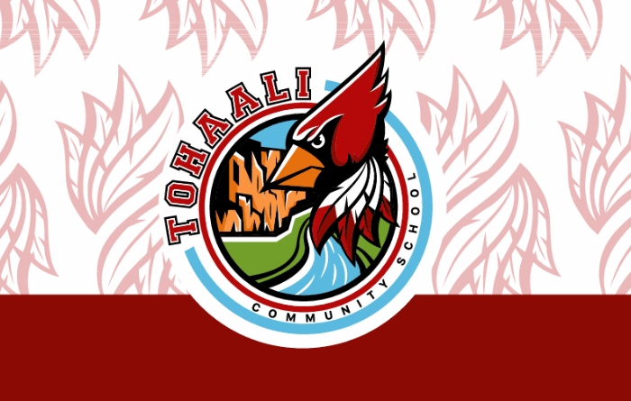 Tohaali Community School logo